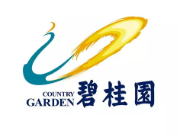罗湖碧桂园地产